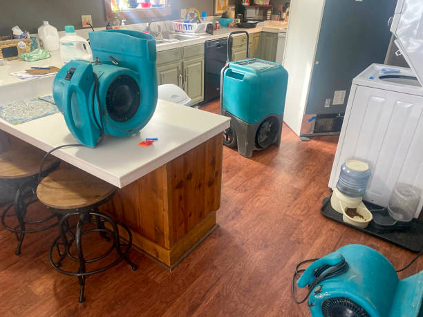 Best Water damage restoration cost  in Shinnecock Hills, NY