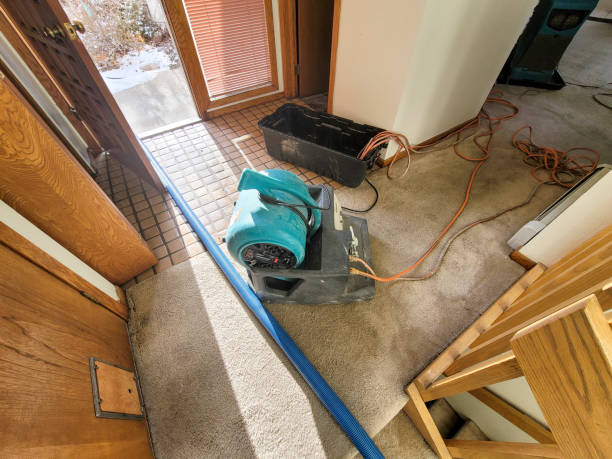 Best Water damage contractors near me  in Shinnecock Hills, NY