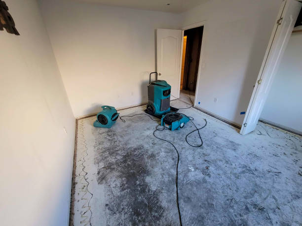 Best 24/7 water damage repair  in Shinnecock Hills, NY