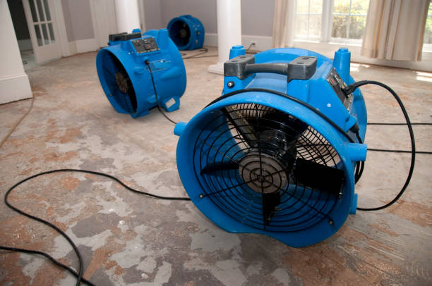 Best Flood damage cleanup  in Shinnecock Hills, NY