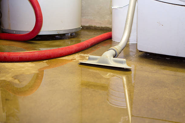 Best Local water damage restoration  in Shinnecock Hills, NY