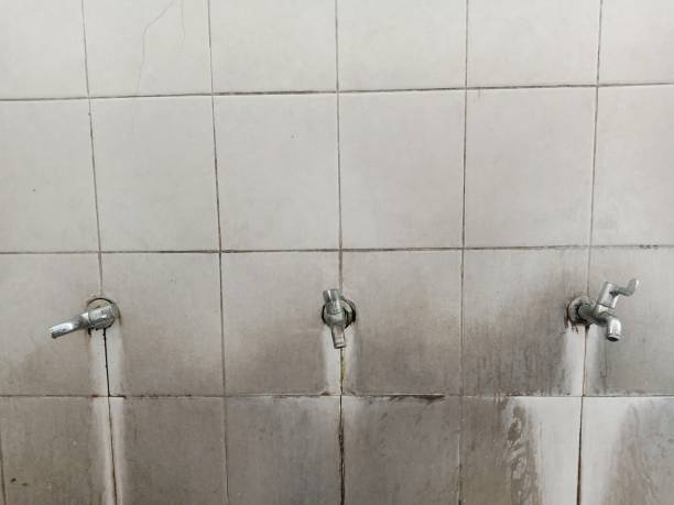 Best Fire Damage Restoration  in Shinnecock Hills, NY