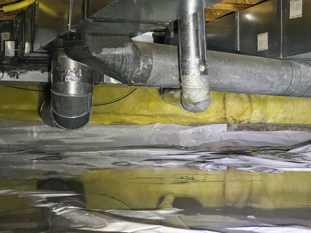 Best Ceiling water damage repair  in Shinnecock Hills, NY