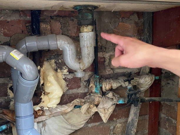 Best Professional water damage repair  in Shinnecock Hills, NY