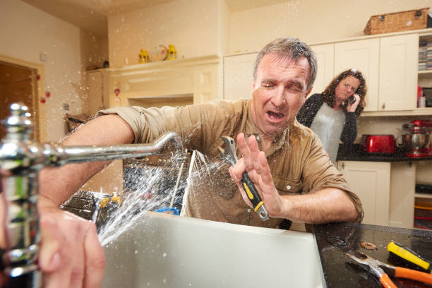 Best Water damage cleanup near me  in Shinnecock Hills, NY